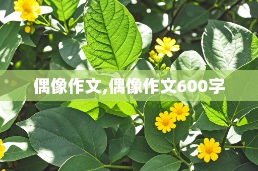 偶像作文,偶像作文600字