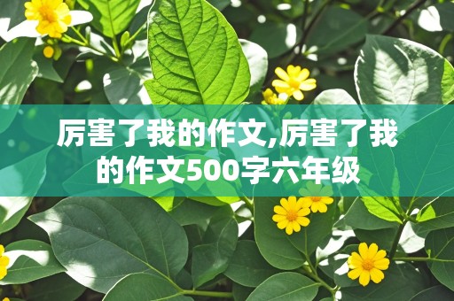 厉害了我的作文,厉害了我的作文500字六年级