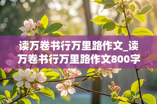 读万卷书行万里路作文_读万卷书行万里路作文800字