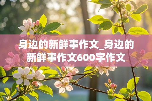 身边的新鲜事作文_身边的新鲜事作文600字作文