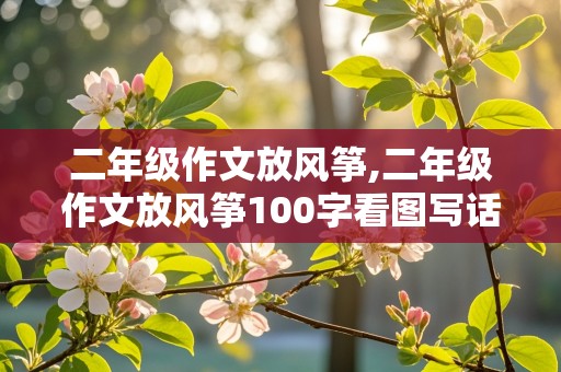 二年级作文放风筝,二年级作文放风筝100字看图写话