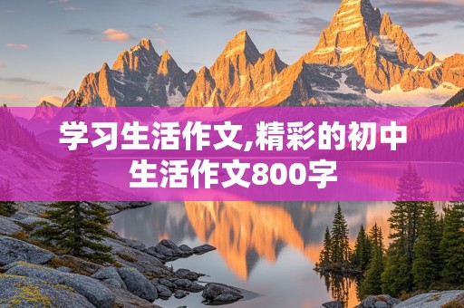 学习生活作文,精彩的初中生活作文800字