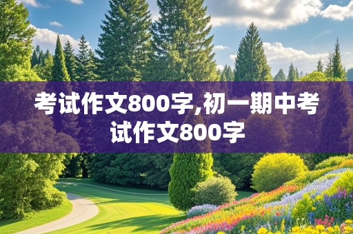 考试作文800字,初一期中考试作文800字