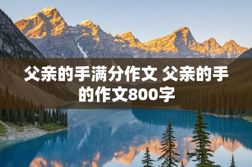 父亲的手满分作文 父亲的手的作文800字