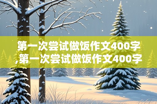 第一次尝试做饭作文400字,第一次尝试做饭作文400字左右