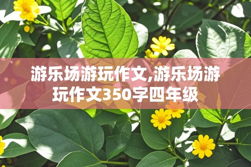 游乐场游玩作文,游乐场游玩作文350字四年级