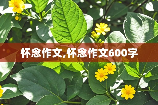 怀念作文,怀念作文600字