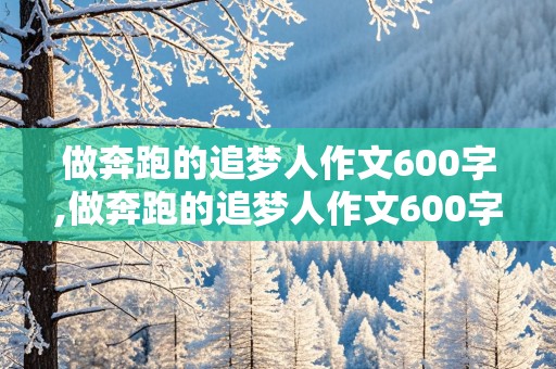 做奔跑的追梦人作文600字,做奔跑的追梦人作文600字初中