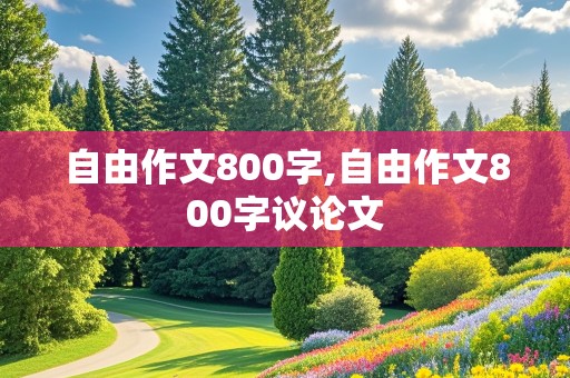 自由作文800字,自由作文800字议论文