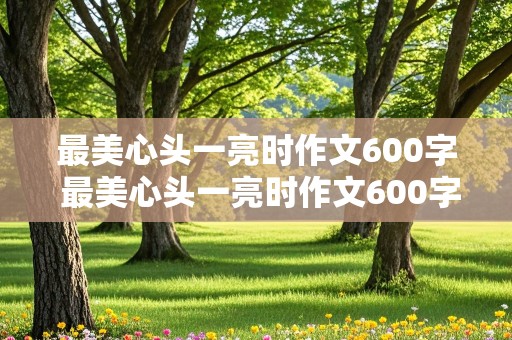 最美心头一亮时作文600字 最美心头一亮时作文600字初中