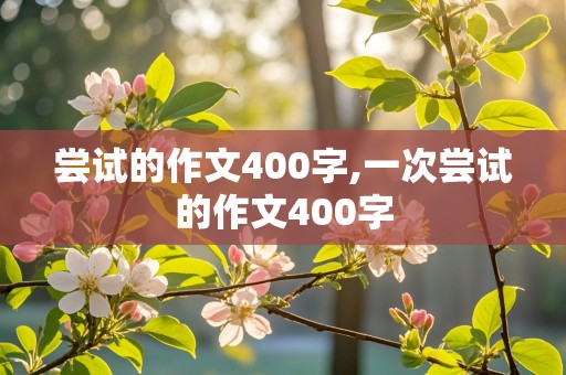 尝试的作文400字,一次尝试的作文400字