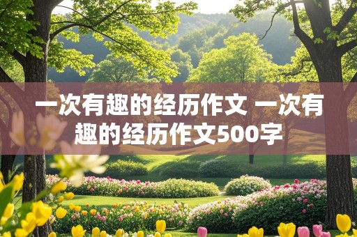 一次有趣的经历作文 一次有趣的经历作文500字