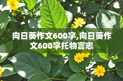 向日葵作文600字,向日葵作文600字托物言志