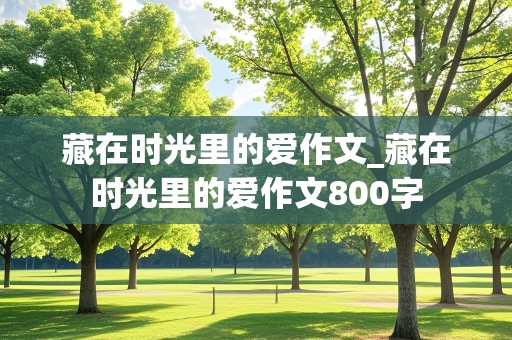 藏在时光里的爱作文_藏在时光里的爱作文800字