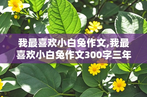 我最喜欢小白兔作文,我最喜欢小白兔作文300字三年级