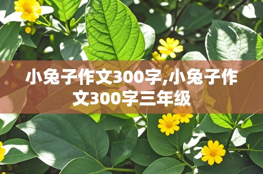 小兔子作文300字,小兔子作文300字三年级