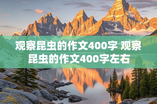 观察昆虫的作文400字 观察昆虫的作文400字左右