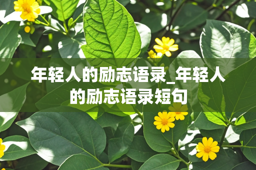 年轻人的励志语录_年轻人的励志语录短句