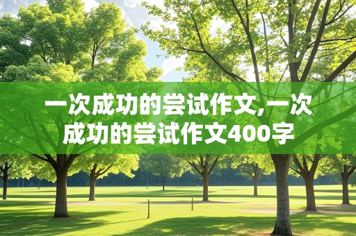 一次成功的尝试作文,一次成功的尝试作文400字