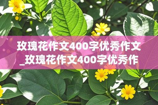 玫瑰花作文400字优秀作文_玫瑰花作文400字优秀作文说明文