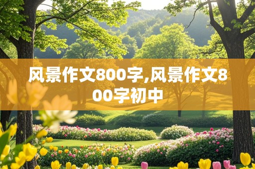 风景作文800字,风景作文800字初中