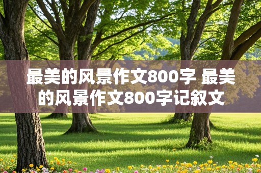 最美的风景作文800字 最美的风景作文800字记叙文