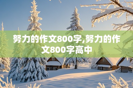 努力的作文800字,努力的作文800字高中