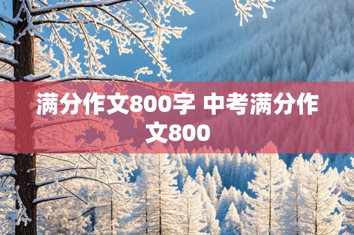 满分作文800字 中考满分作文800