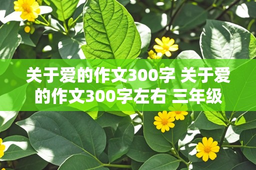 关于爱的作文300字 关于爱的作文300字左右 三年级