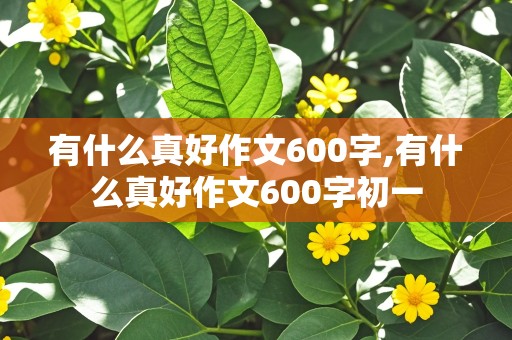 有什么真好作文600字,有什么真好作文600字初一