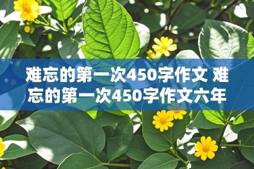 难忘的第一次450字作文 难忘的第一次450字作文六年级上册