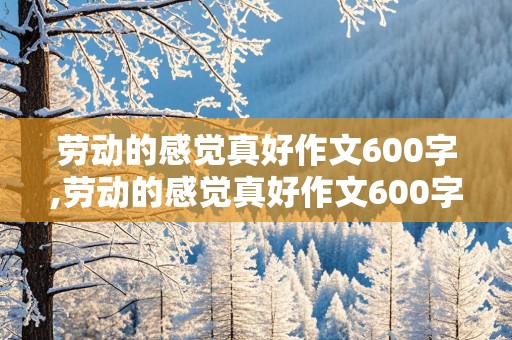 劳动的感觉真好作文600字,劳动的感觉真好作文600字作文