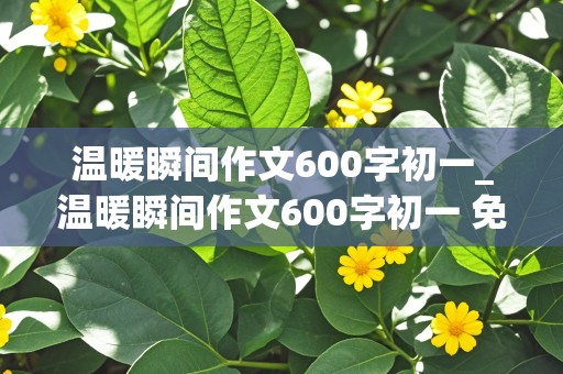 温暖瞬间作文600字初一_温暖瞬间作文600字初一 免费