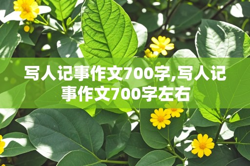 写人记事作文700字,写人记事作文700字左右