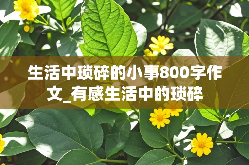 生活中琐碎的小事800字作文_有感生活中的琐碎