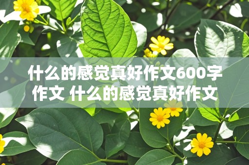 什么的感觉真好作文600字作文 什么的感觉真好作文600字作文六年级