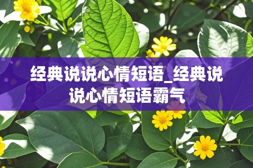 经典说说心情短语_经典说说心情短语霸气