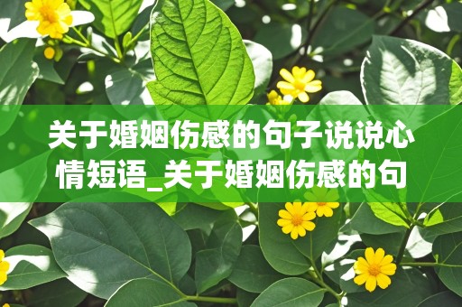 关于婚姻伤感的句子说说心情短语_关于婚姻伤感的句子说说心情短语图片