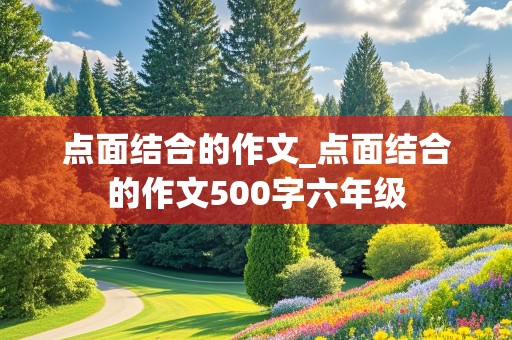 点面结合的作文_点面结合的作文500字六年级