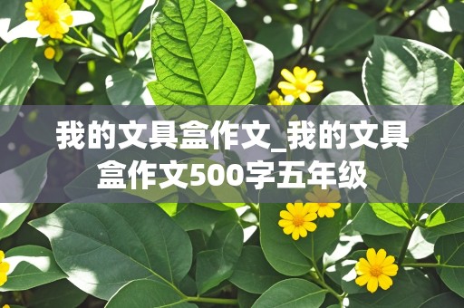 我的文具盒作文_我的文具盒作文500字五年级