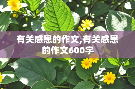 有关感恩的作文,有关感恩的作文600字