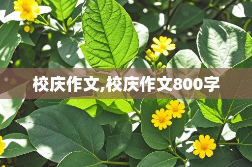 校庆作文,校庆作文800字