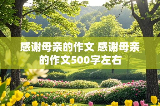 感谢母亲的作文 感谢母亲的作文500字左右