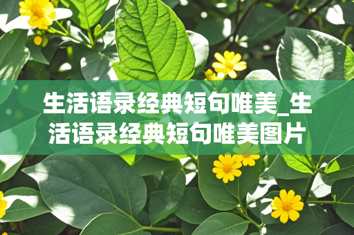 生活语录经典短句唯美_生活语录经典短句唯美图片