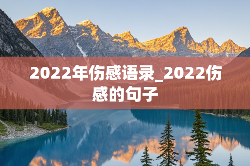 2022年伤感语录_2022伤感的句子