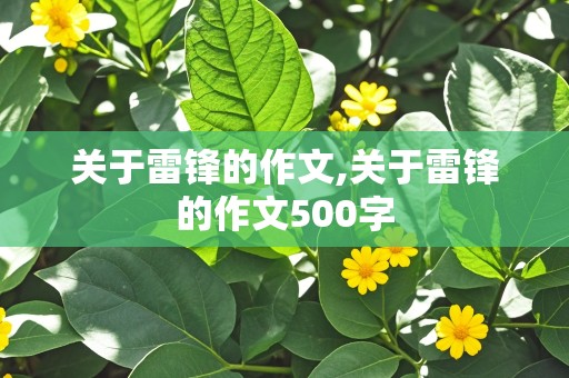 关于雷锋的作文,关于雷锋的作文500字