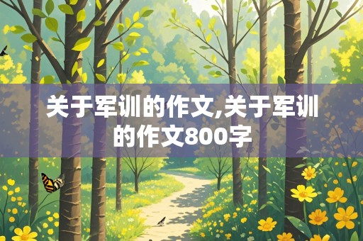 关于军训的作文,关于军训的作文800字