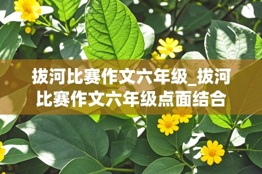 拔河比赛作文六年级_拔河比赛作文六年级点面结合