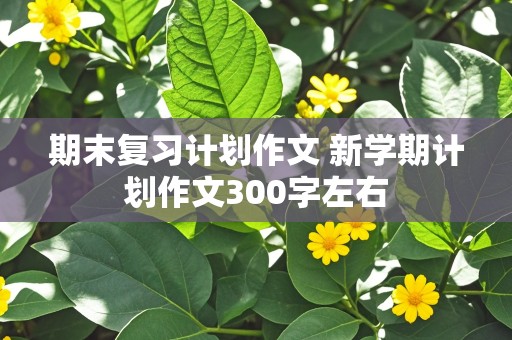 期末复习计划作文 新学期计划作文300字左右