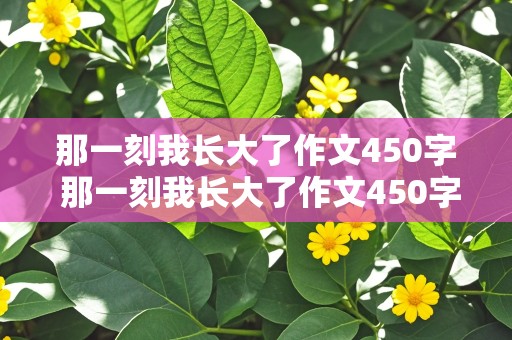 那一刻我长大了作文450字 那一刻我长大了作文450字免费